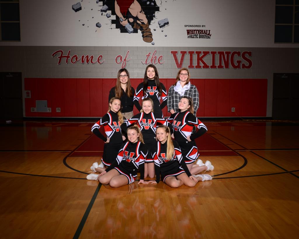 JV Competitive Cheer 2016-17